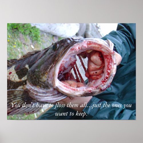 Ling cod poster at the Washington coast