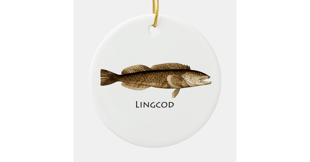 Lingcod Saltwater fishing Tshirt, Zazzle