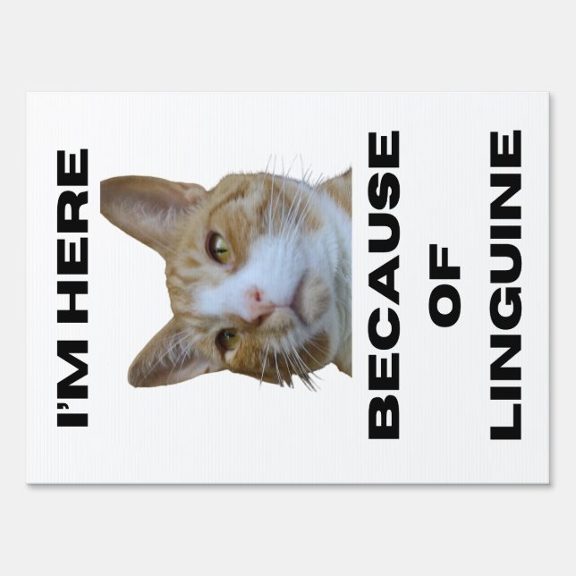 Linguine sign (Front)