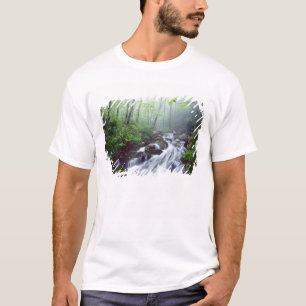 Linn Cove Creek cascading through foggy T-Shirt