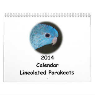Linnie Parakeet 2014 Calendar