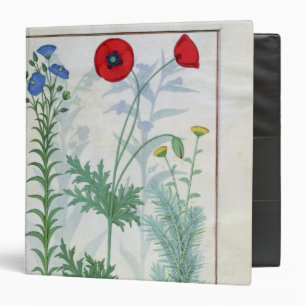 Linum, Garden poppies and Abrotanum Binder