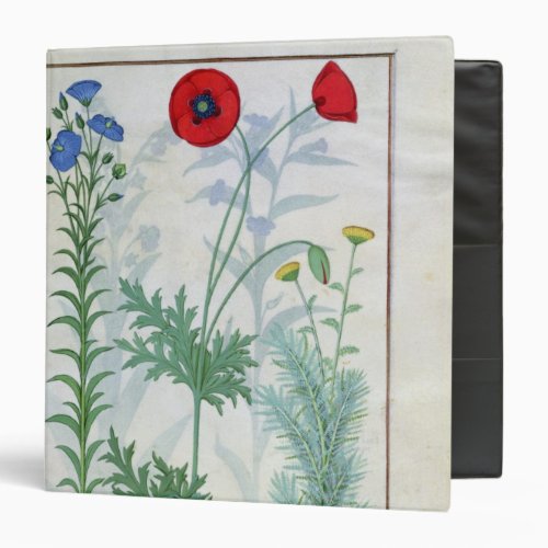 Linum Garden poppies and Abrotanum Binder