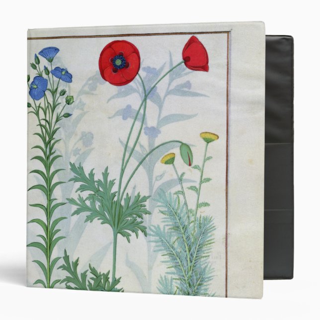 Linum, Garden poppies and Abrotanum Binder (Front/Inside)