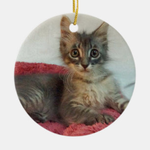 Linus Ceramic Ornament