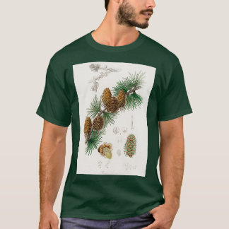 Linus larix illustration from Medical Botany 1836 T-Shirt