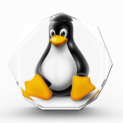 Linux Tux the Penguin Acrylic Award