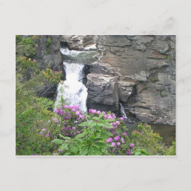 Linville Falls, North carolina Postcard (Front)