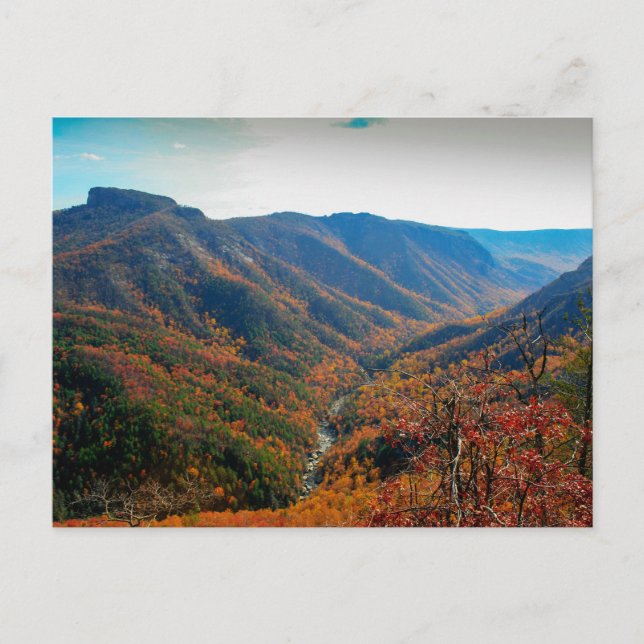 Linville Gorge in Autumn, North Carolina Postcard (Front)