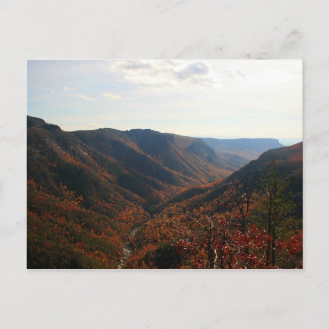 Linville Gorge in Autumn, North Carolina Postcard (Front)