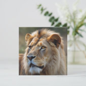 Lion (Standing Front)