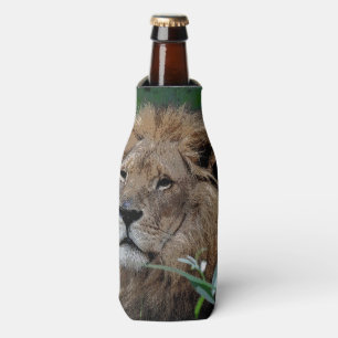 Lion20150805 Bottle Cooler