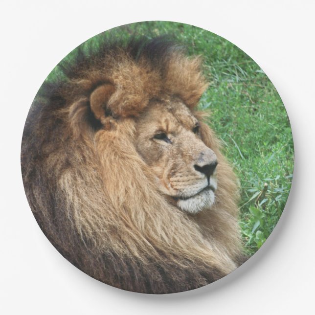 Lion 001 paper plates (Front)