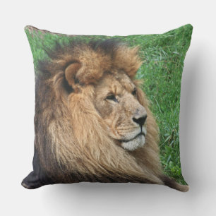 Lion 001 throw pillow