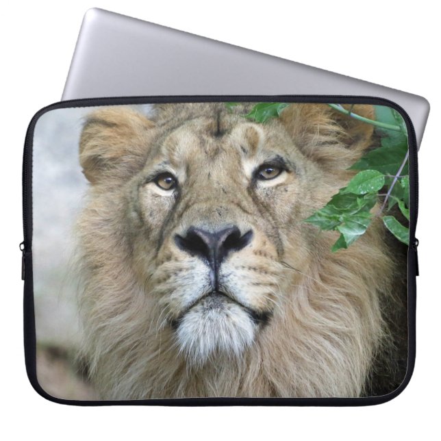 Lion 002 laptop sleeve (Front)