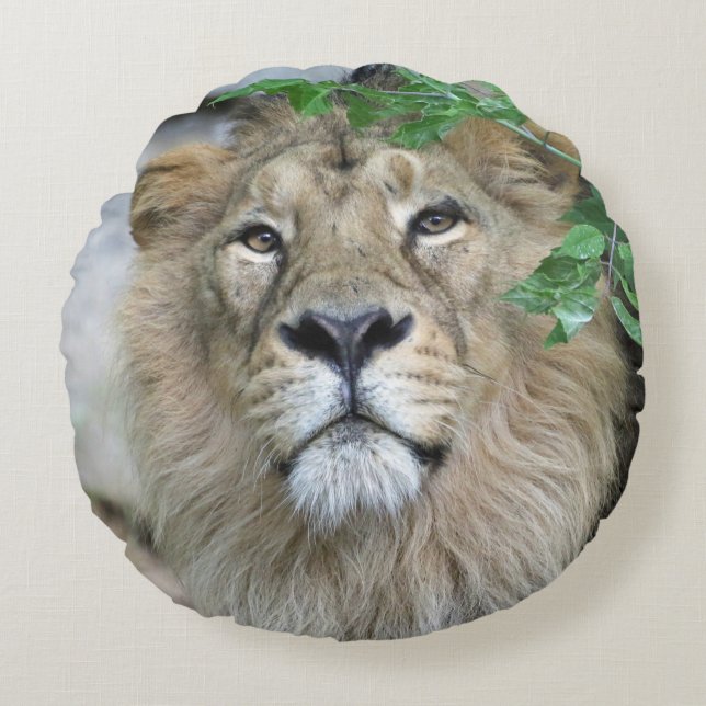 Lion 002 round pillow (Front)