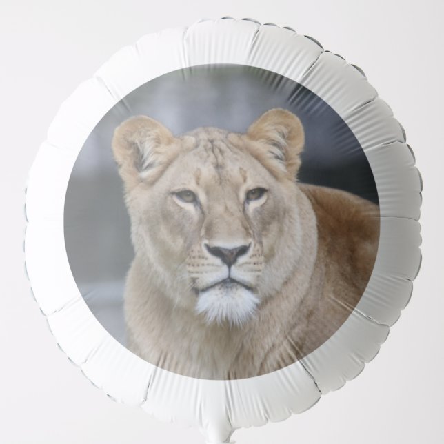 Lion 004 balloon (Front)