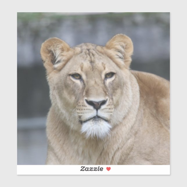 Lion 004 sticker (Sheet)