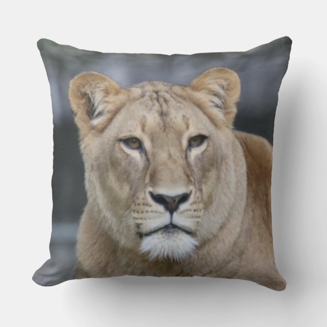 Lion 004 throw pillow (Front)