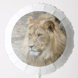 Lion 011 balloon