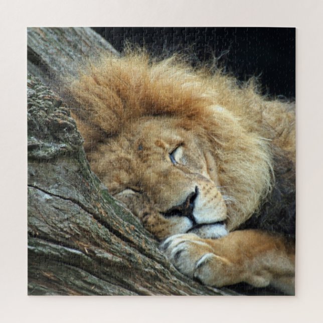Lion 013 by JAMFoto Jigsaw Puzzle (Vertical)