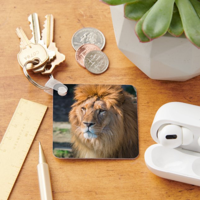 Lion 013 keychain (Desk)