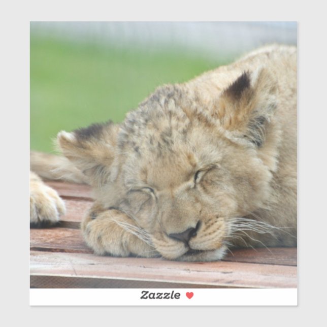 Lion 014 sticker (Sheet)