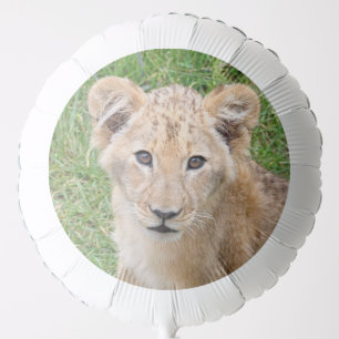 Lion 016 balloon