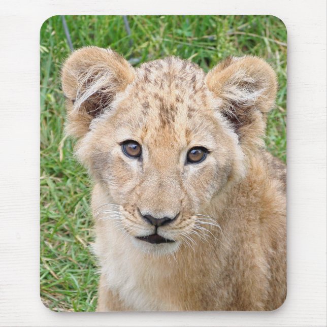 Lion 016 mouse pad (Front)