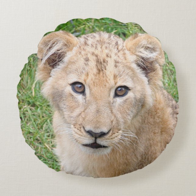 Lion 016 round pillow (Front)