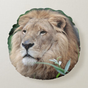 Lion 021 round pillow