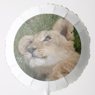 Lion 022 balloon