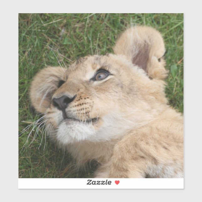 Lion 022 sticker (Sheet)