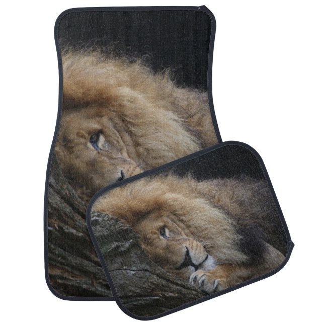 Lion 030 car floor mat (Set)