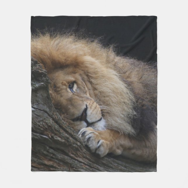 Lion 030 fleece blanket (Front)