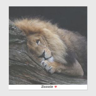 Lion 030 sticker