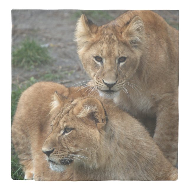 Lion 033 duvet cover (Front)