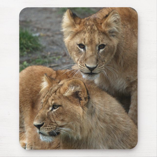 Lion 033 mouse pad (Front)