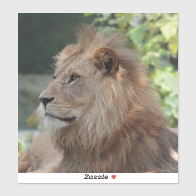 Lion 035 sticker (Sheet)