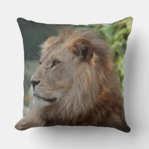 Lion 035 throw pillow
