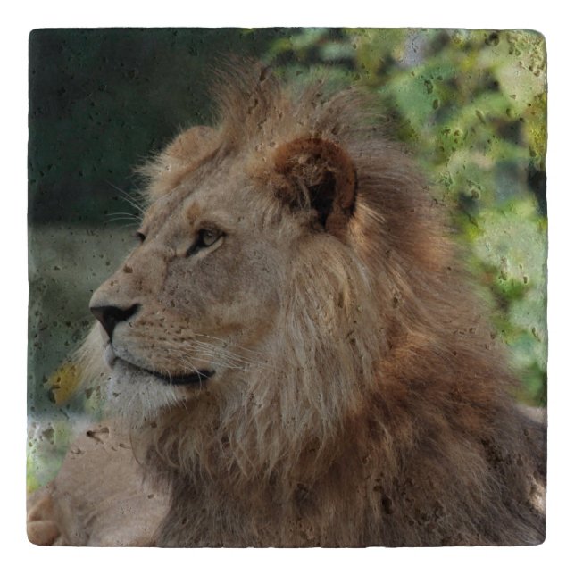 Lion 035 trivet (Front)