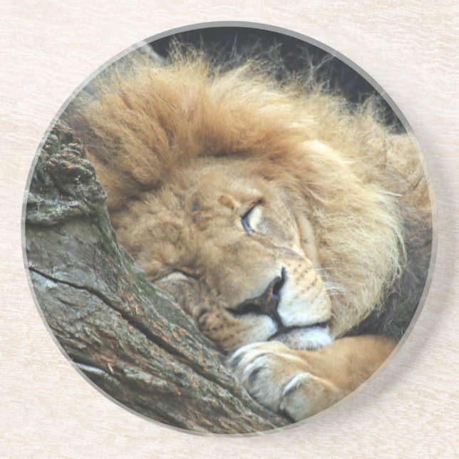 Lion 036 coaster (Front)