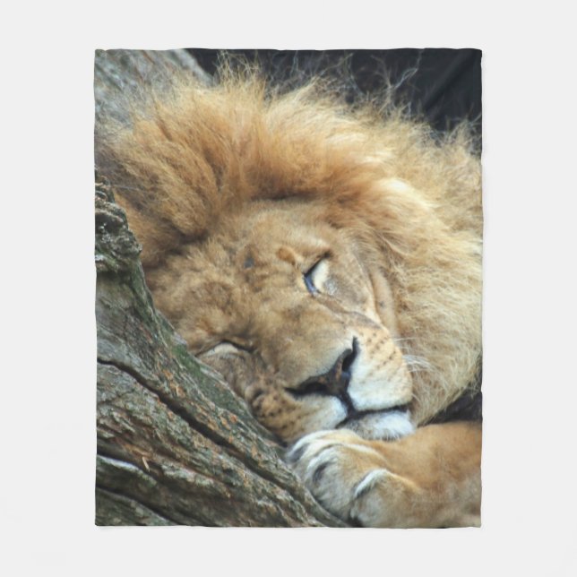 Lion 036 fleece blanket (Front)