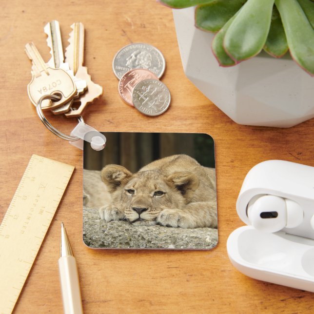 Lion 040 keychain (Desk)