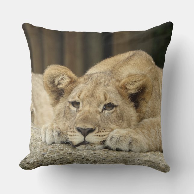 Lion 040 throw pillow (Front)