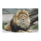 Lion 2014-1001