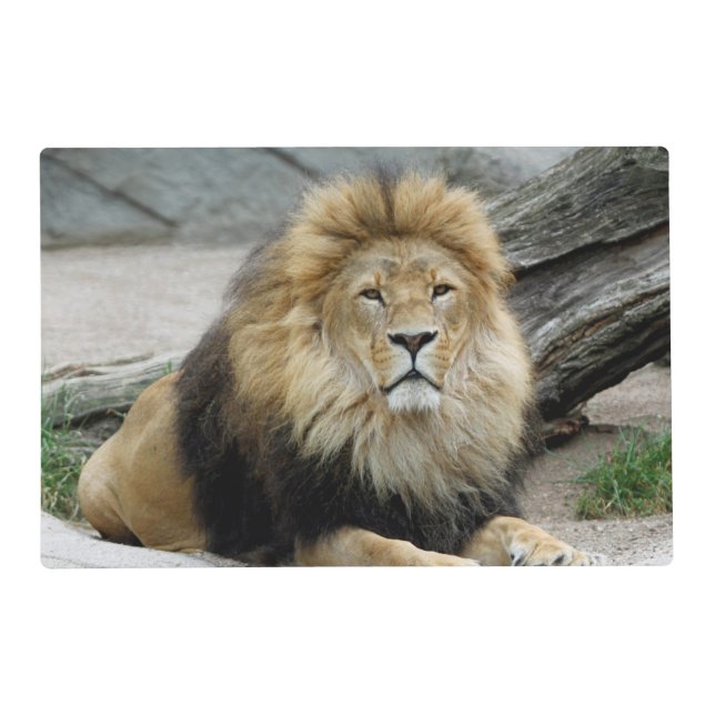Lion 2014-1001 placemat (Front)