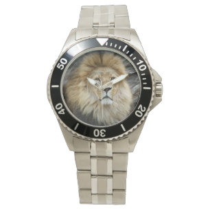 Lion_2014_1001 Watch