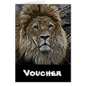 Lion_2015_0501 (Front)