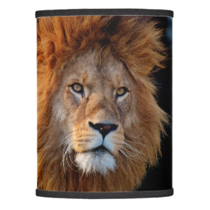 Lion_20180712_by_JAMFoto Lamp Shade